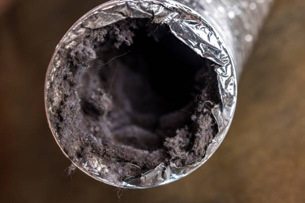 Best Air Duct Sanitizing Services  in West Sayville, NY